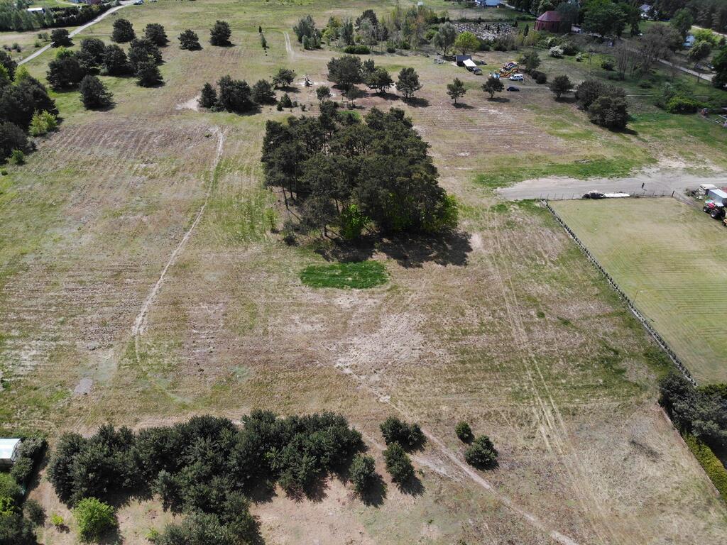 Działka na sprzedaż Borzysławiec 3 917 m2 | Arka Nieruchomości