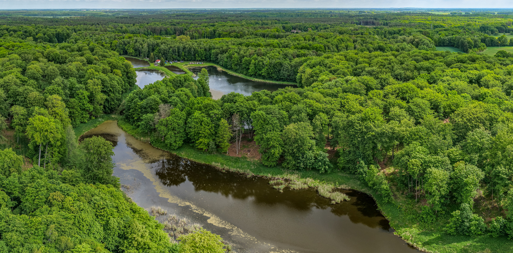 Działka na sprzedaż Wisławie 95 601 m2 | Arka Nieruchomości