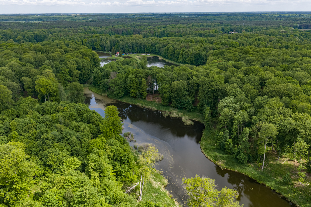 Działka na sprzedaż Wisławie 95 601 m2 | Arka Nieruchomości