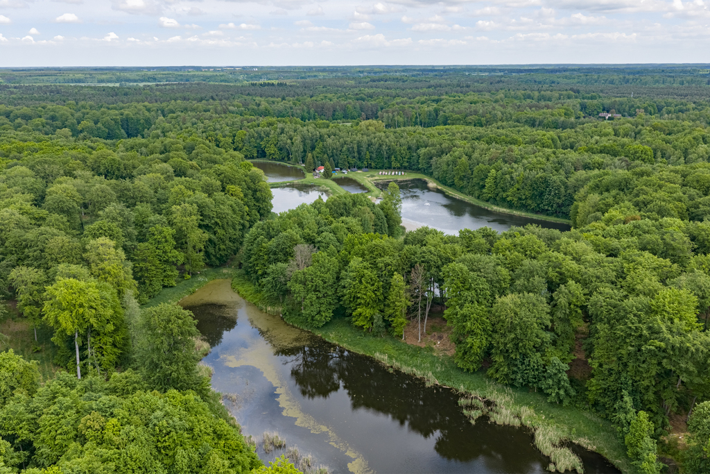 Działka na sprzedaż Wisławie 95 601 m2 | Arka Nieruchomości