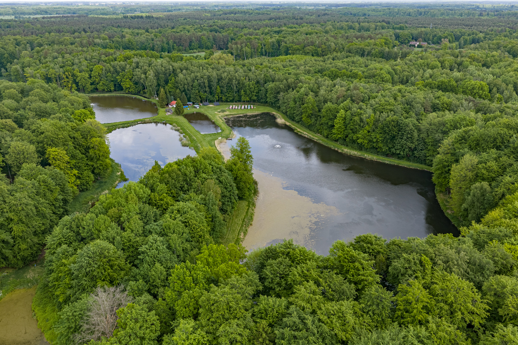 Działka na sprzedaż Wisławie 95 601 m2 | Arka Nieruchomości