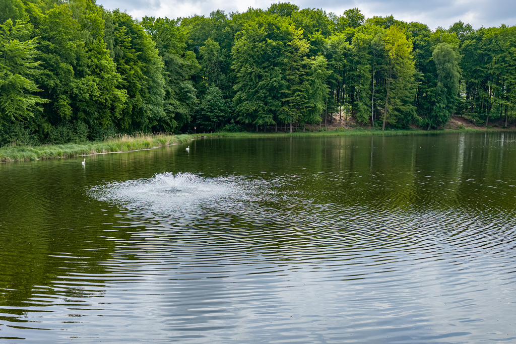 Działka na sprzedaż Wisławie 95 601 m2 | Arka Nieruchomości