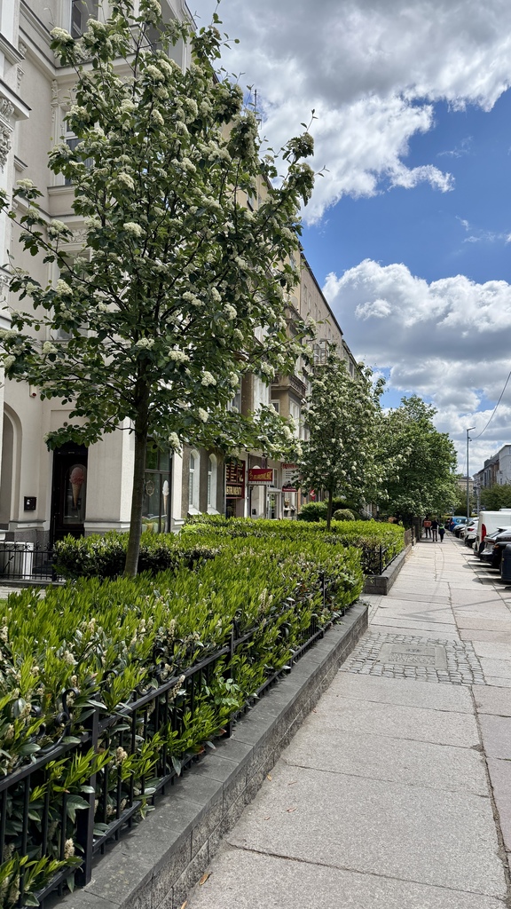 Mieszkanie na sprzedaż Szczecin, Centrum 84 m2 | Arka Nieruchomości