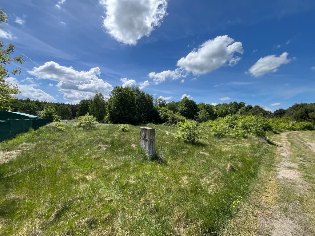 Działka na sprzedaż Brzózki 1 271 m2 | Arka Nieruchomości