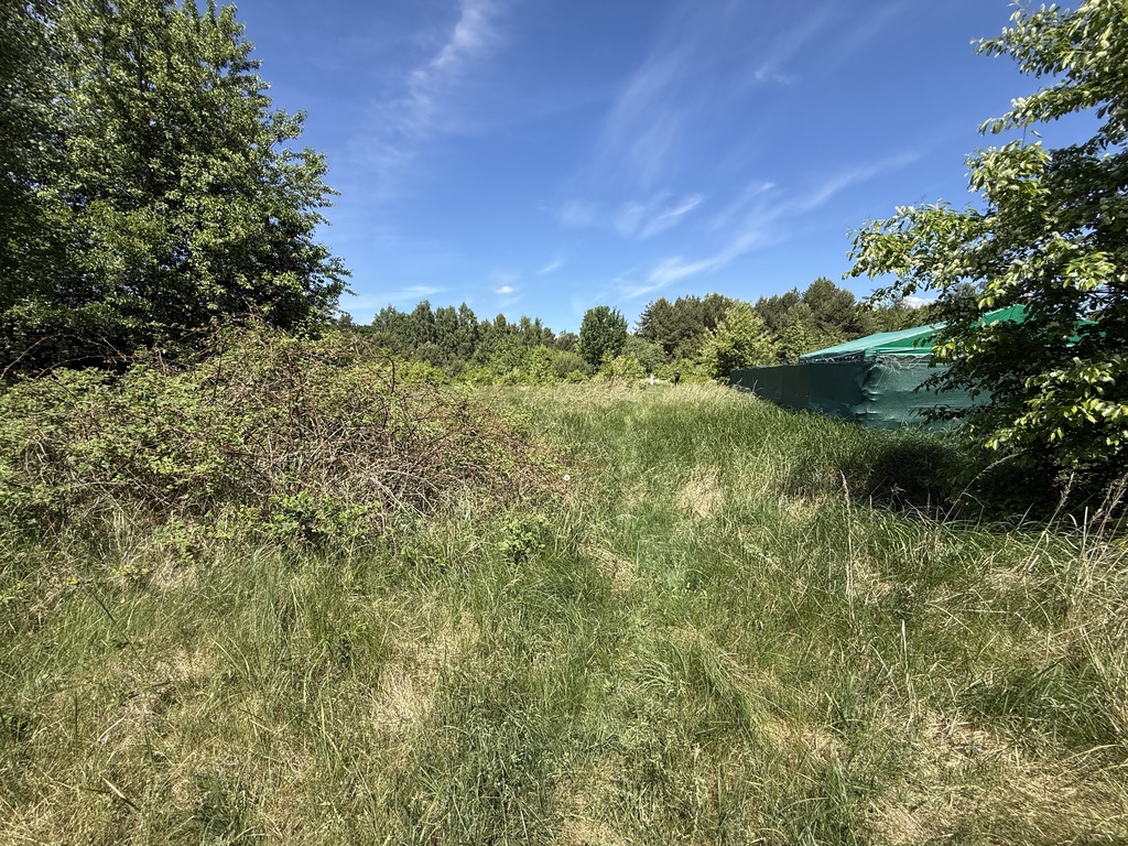 Działka na sprzedaż Brzózki 1 271 m2 | Arka Nieruchomości