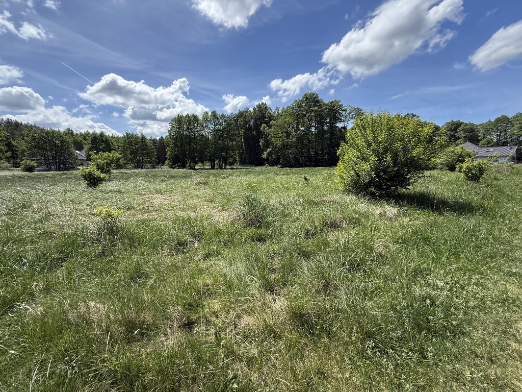 Działka na sprzedaż Brzózki 1 271 m2 | Arka Nieruchomości