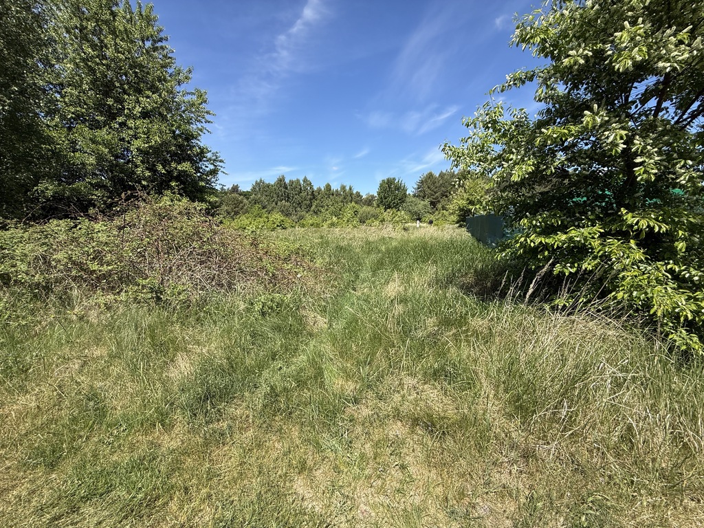 Działka na sprzedaż Brzózki 1 271 m2 | Arka Nieruchomości