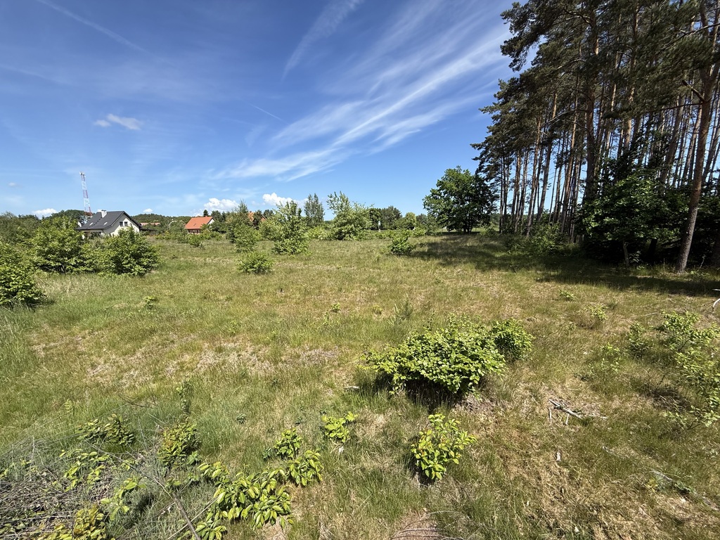 Działka na sprzedaż Brzózki 2 337 m2 | Arka Nieruchomości