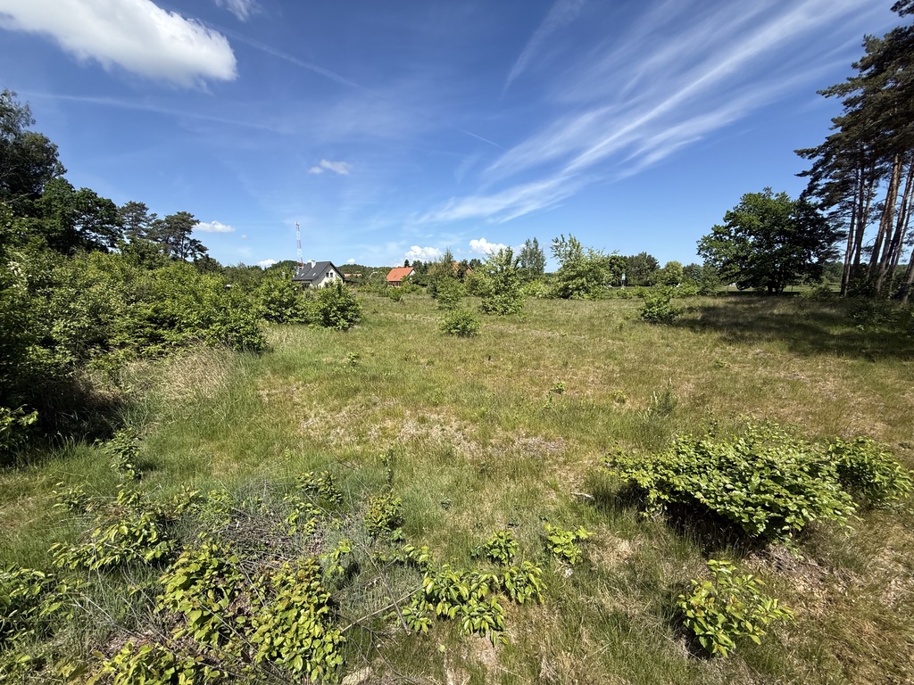 Działka na sprzedaż Brzózki 2 337 m2 | Arka Nieruchomości