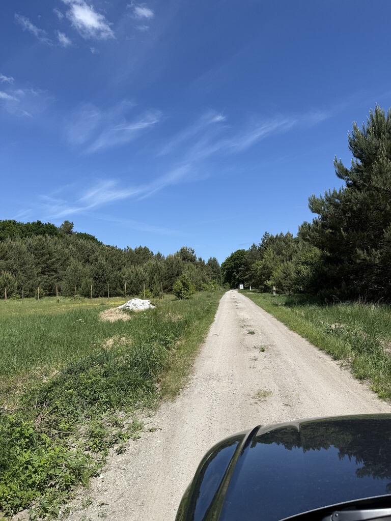 Działka na sprzedaż Brzózki 1 271 m2 | Arka Nieruchomości