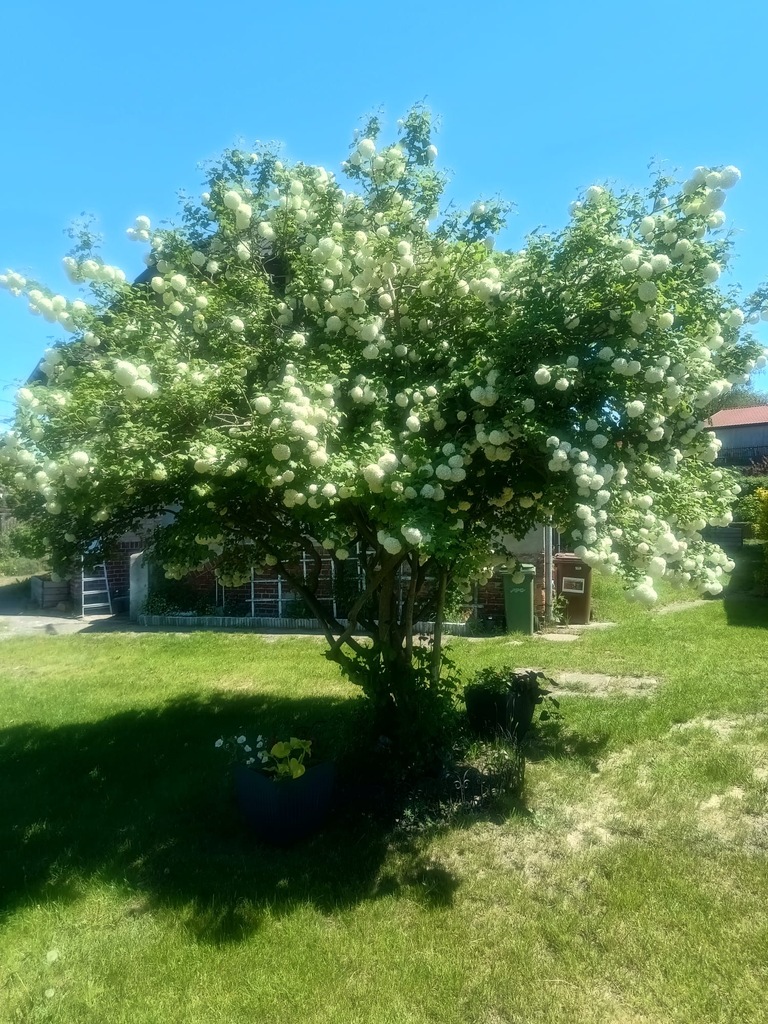 Dom na sprzedaż Szczecin, Sławociesze 93 m2 | Arka Nieruchomości