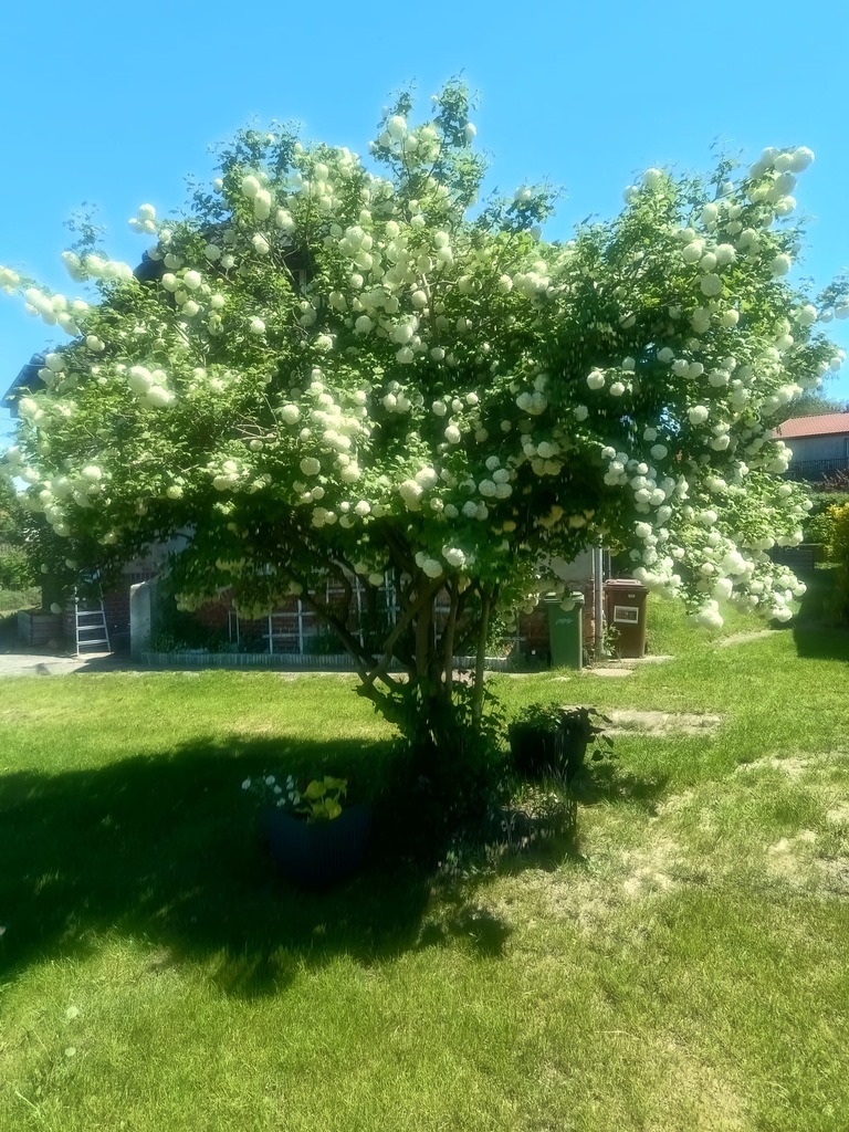 Dom na sprzedaż Szczecin, Sławociesze 93 m2 | Arka Nieruchomości