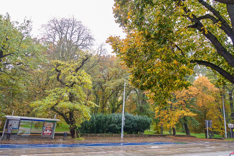 Mieszkanie na sprzedaż Szczecin, Śródmieście 97 m2 | Arka Nieruchomości