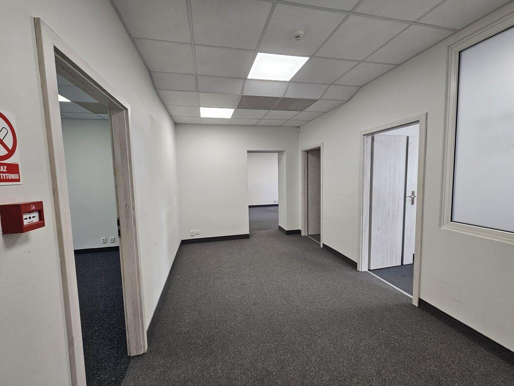 Lokal na wynajem Szczecin, Centrum 125 m2 | Arka Nieruchomości