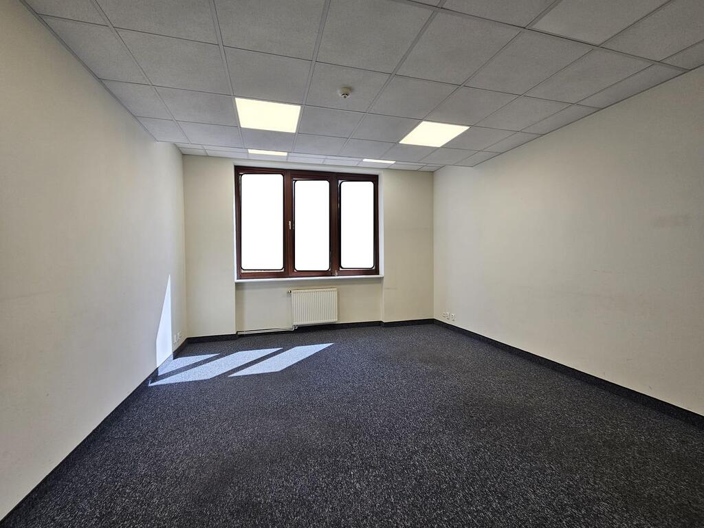 Lokal na wynajem Szczecin, Centrum 125 m2 | Arka Nieruchomości