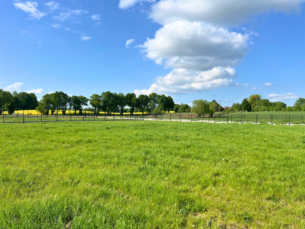 Działki | Szlak WJM | marina | Jezioro Jagodne | — zdjęcie 10