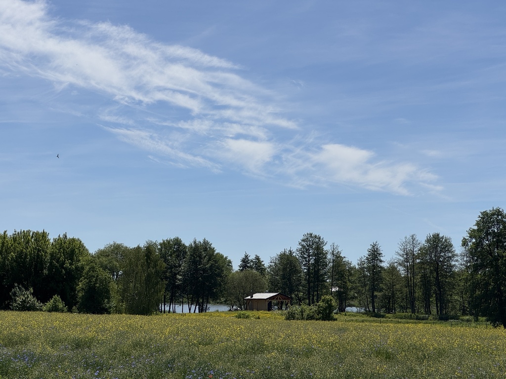 Działka na sprzedaż Babin 5 219 m2 | Arka Nieruchomości