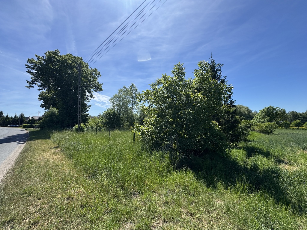 Działka na sprzedaż Babin 5 219 m2 | Arka Nieruchomości