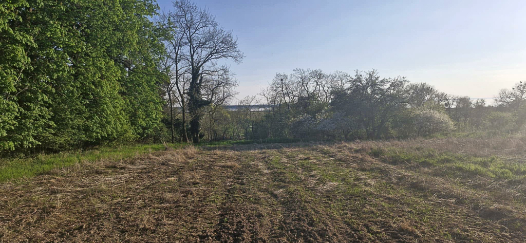 Dom na sprzedaż Skoszewo 184 m2 | Arka Nieruchomości