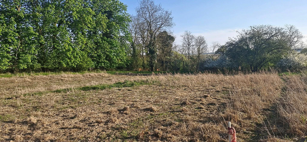 Dom na sprzedaż Skoszewo 184 m2 | Arka Nieruchomości