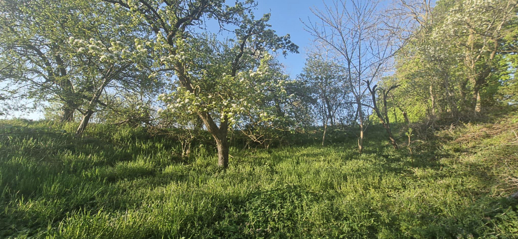 Dom na sprzedaż Skoszewo 184 m2 | Arka Nieruchomości
