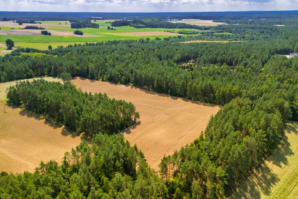 Atrakcyjna działka budowlana Niesiołowice