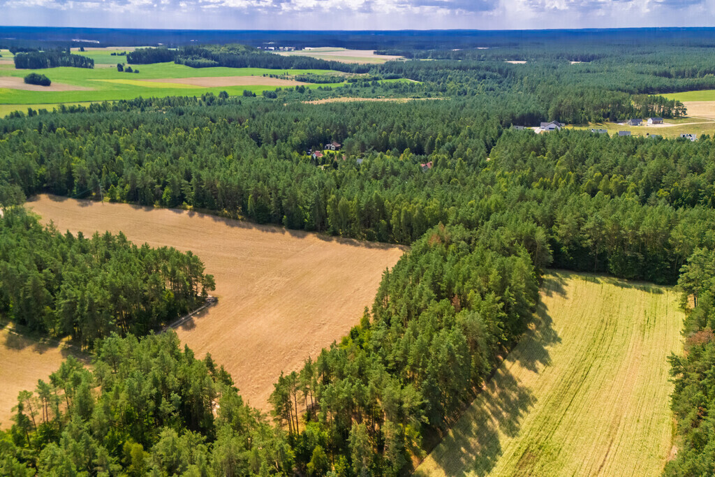 Atrakcyjna działka budowlana Niesiołowice