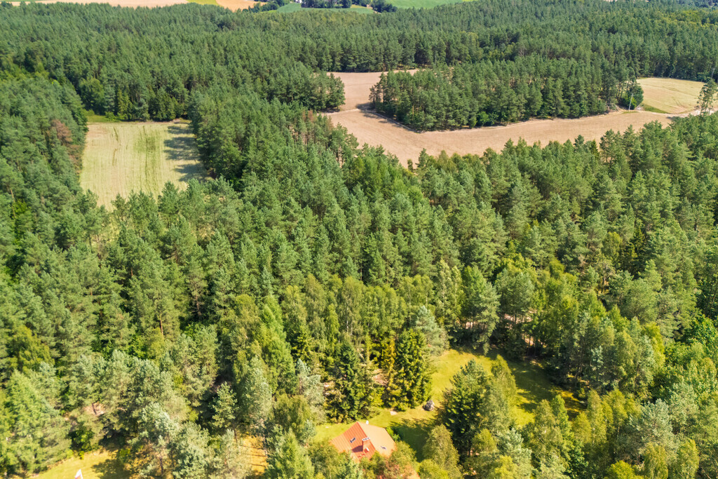 Atrakcyjna działka budowlana Niesiołowice