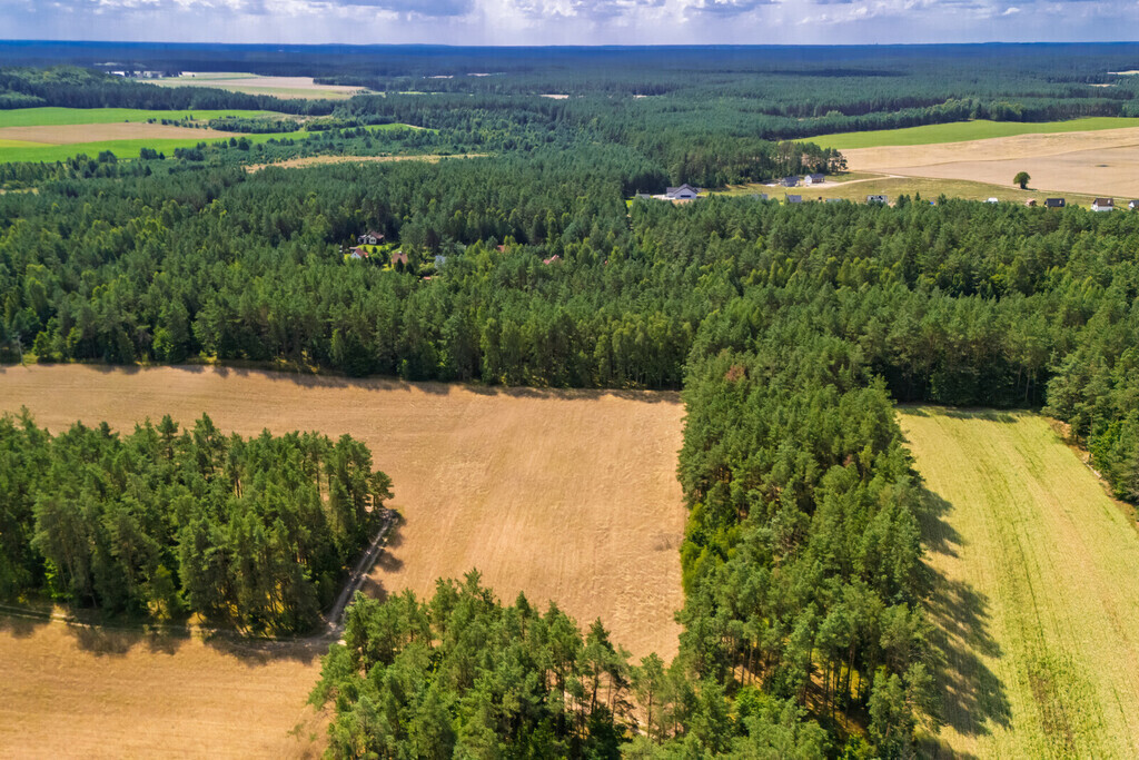 Atrakcyjna działka budowlana Niesiołowice
