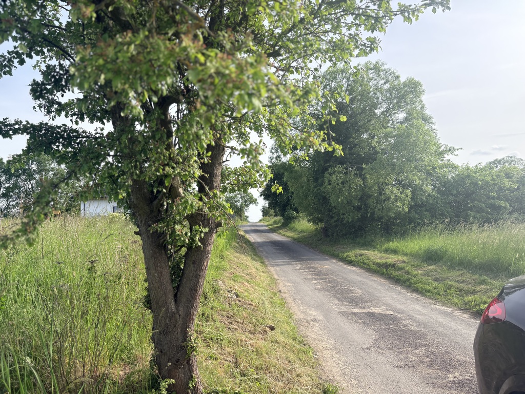 Działka na sprzedaż Przęsocin 4 606 m2 | Arka Nieruchomości