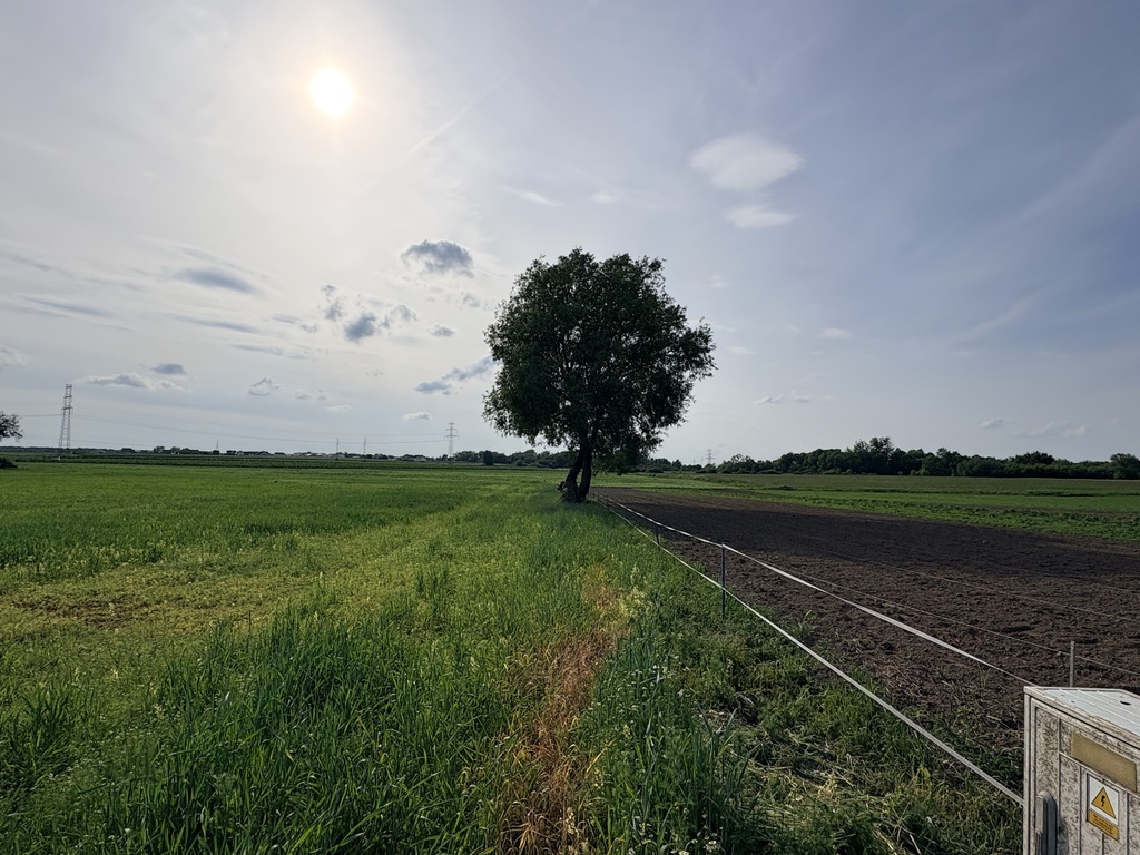 Działka na sprzedaż Przęsocin 4 606 m2 | Arka Nieruchomości