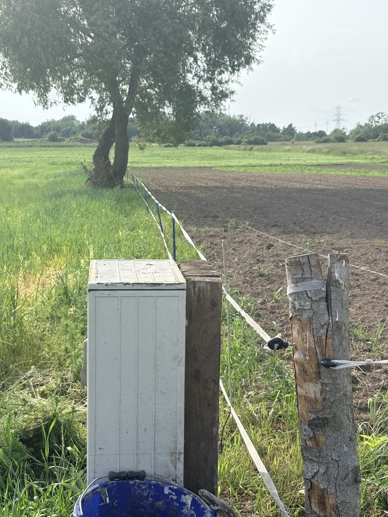Działka na sprzedaż Przęsocin 4 606 m2 | Arka Nieruchomości