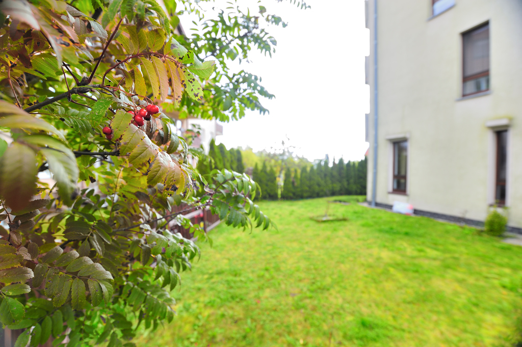 Mieszkanie na wynajem Szczecin, Warszewo 54 m2 | Arka Nieruchomości