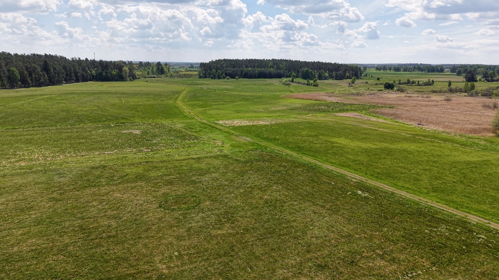 Działka na sprzedaż Dalęcino 5 009 m2 | Arka Nieruchomości