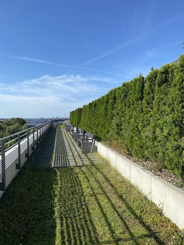 Mieszkanie na wynajem Szczecin, Centrum 32 m2 | Arka Nieruchomości