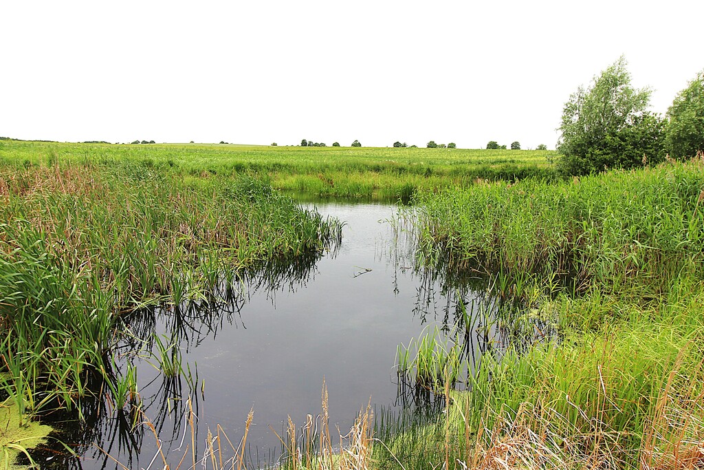 Działka na sprzedaż Gleźno 30 900 m2 | Arka Nieruchomości