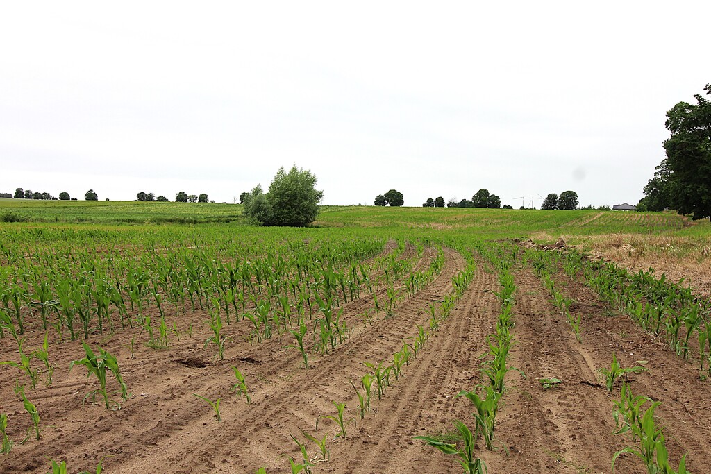 Działka na sprzedaż Gleźno 30 900 m2 | Arka Nieruchomości