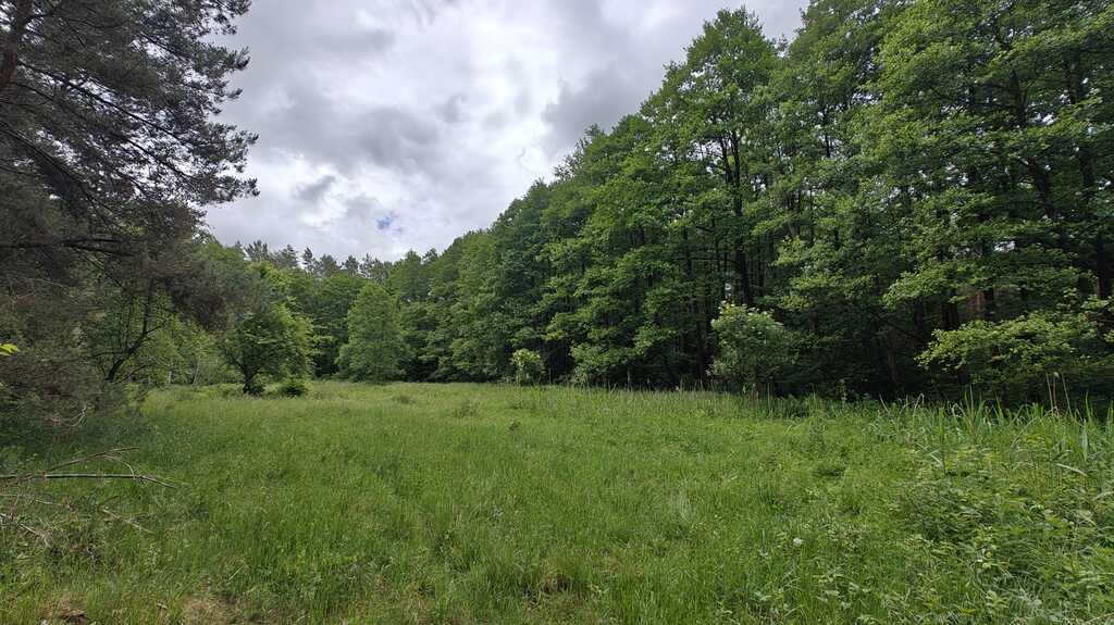 Działka na sprzedaż Nowogard 22 500 m2 | Arka Nieruchomości