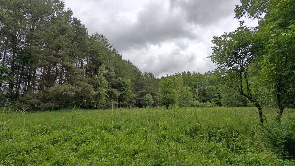 Działka na sprzedaż Nowogard 22 500 m2 | Arka Nieruchomości