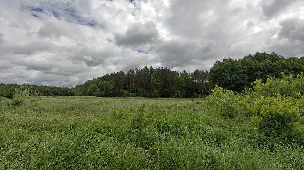 Działka na sprzedaż Nowogard 22 500 m2 | Arka Nieruchomości