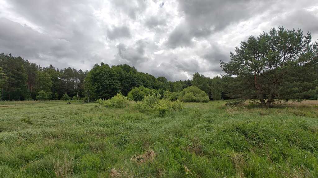 Działka na sprzedaż Nowogard 22 500 m2 | Arka Nieruchomości