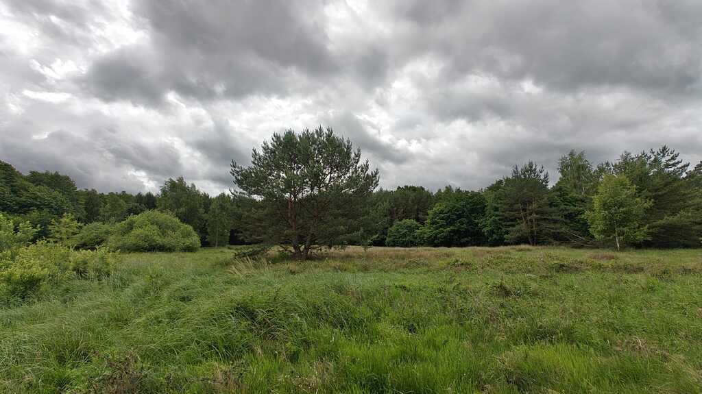 Działka na sprzedaż Nowogard 22 500 m2 | Arka Nieruchomości