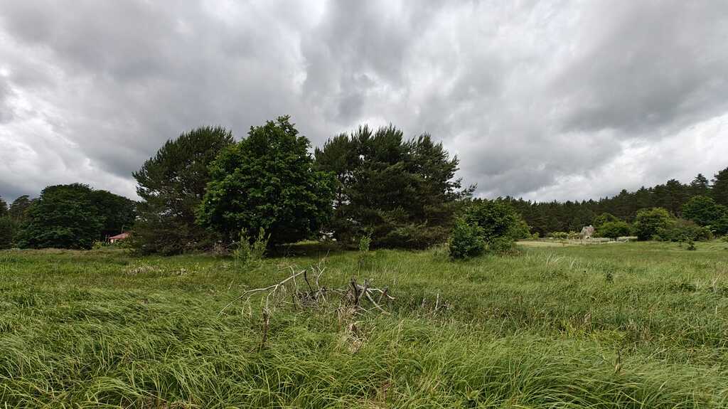 Działka na sprzedaż Nowogard 22 500 m2 | Arka Nieruchomości