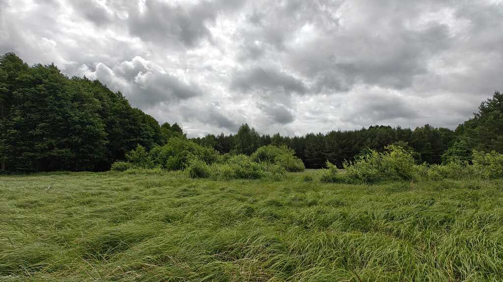 Działka na sprzedaż Nowogard 22 500 m2 | Arka Nieruchomości