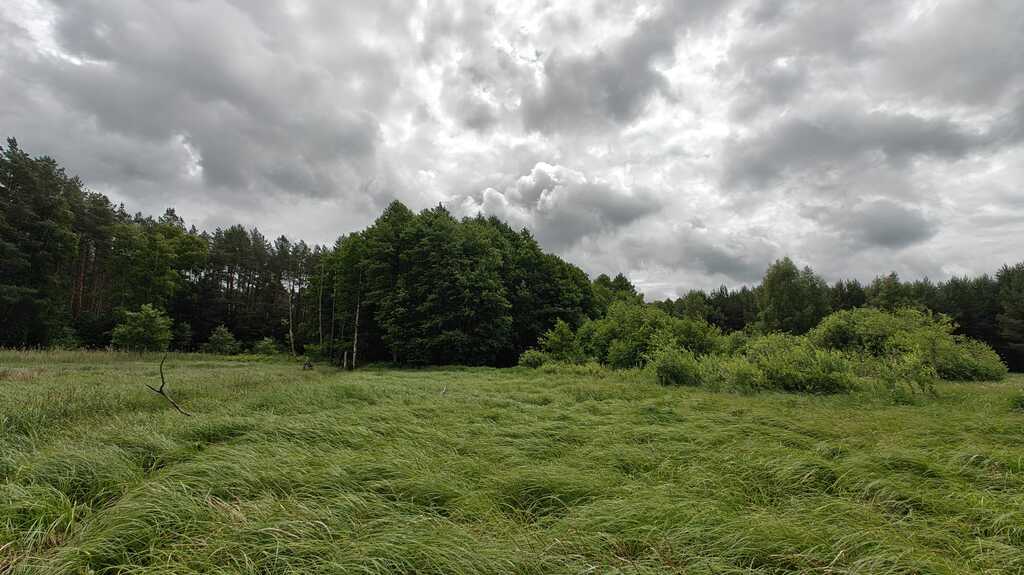 Działka na sprzedaż Nowogard 22 500 m2 | Arka Nieruchomości