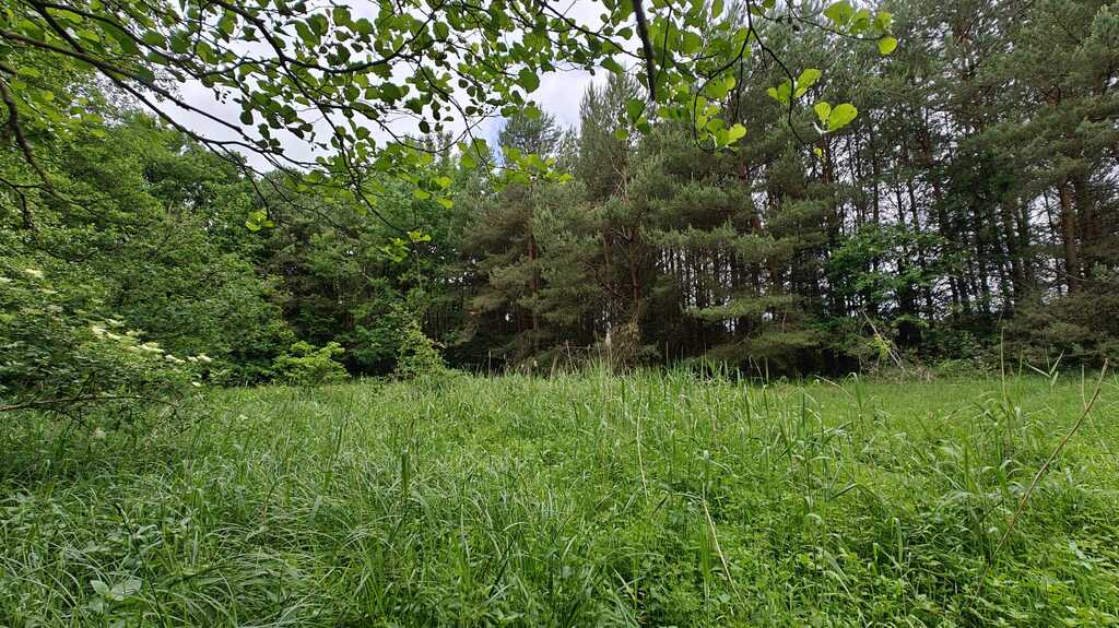 Działka na sprzedaż Nowogard 22 500 m2 | Arka Nieruchomości