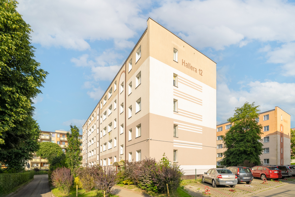 Zdjęcie 11