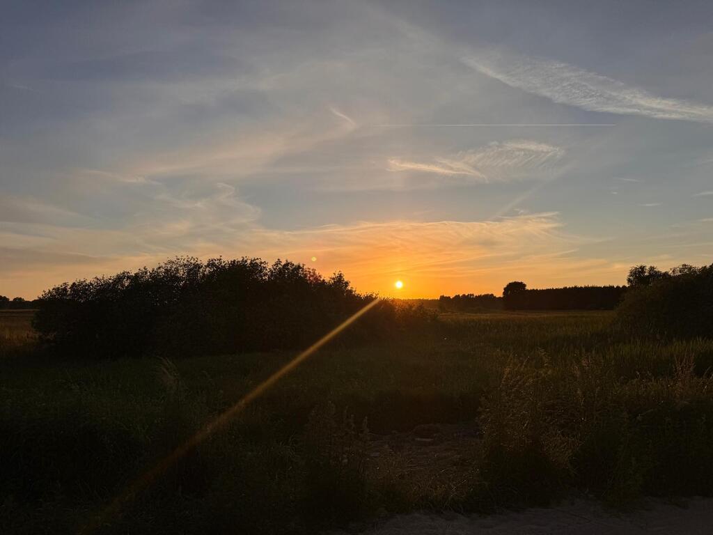 Działka na sprzedaż Sławoszewo 1 240 m2 | Arka Nieruchomości