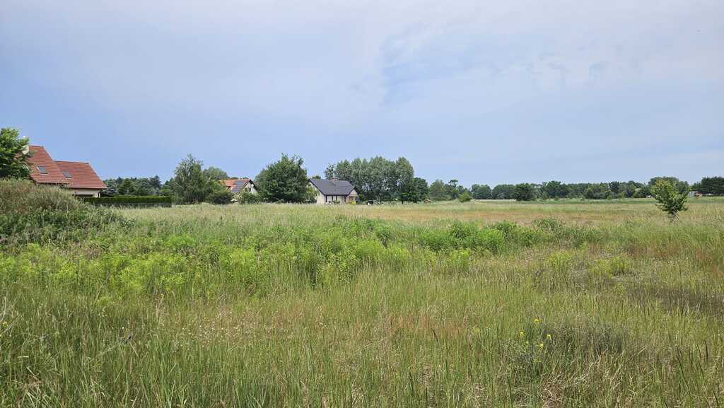 Działka na sprzedaż Łęgi 1 050 m2 | Arka Nieruchomości