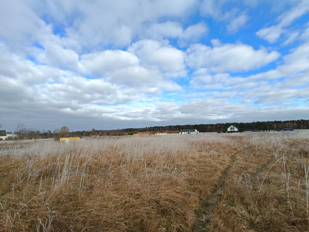 Działka na sprzedaż Białuń 3 000 m2 | Arka Nieruchomości